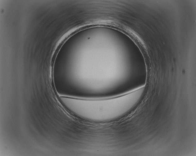 X0000087671324200705040715