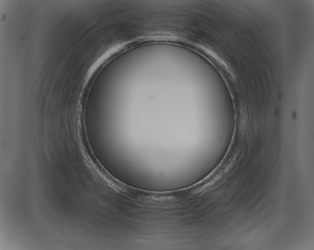 X0000087671325200705040715