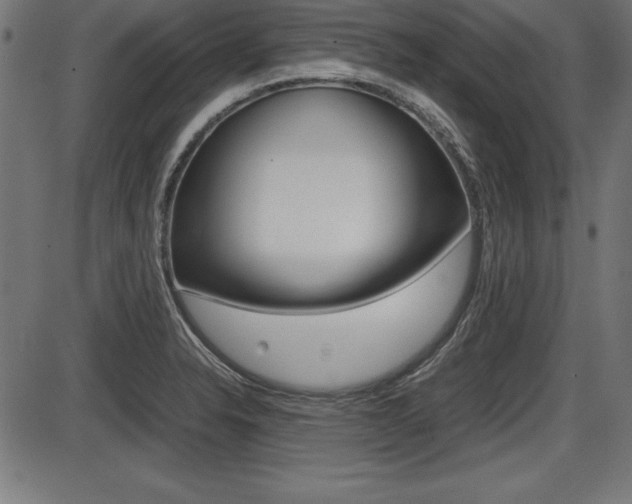 X0000087671326200705040715