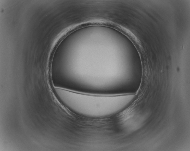 X0000087671327200705040715