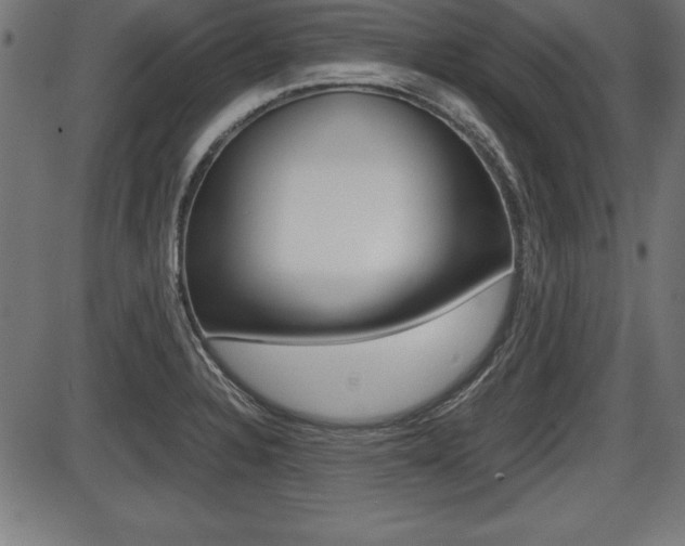 X0000087671328200705040716
