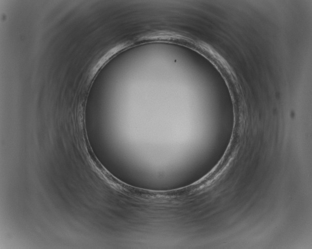 X0000087671329200705040716