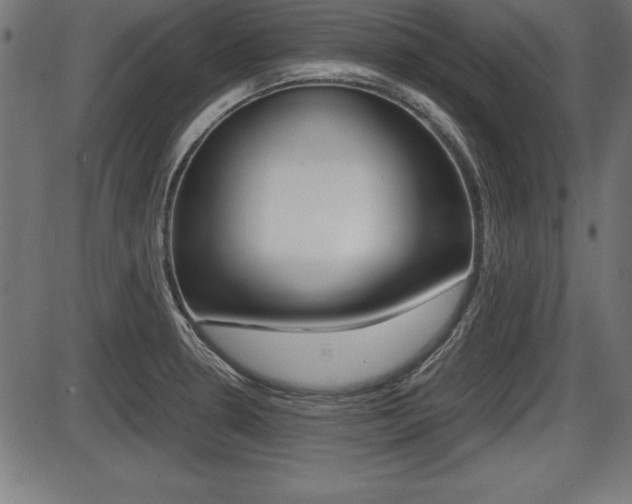 X0000087671330200705040716
