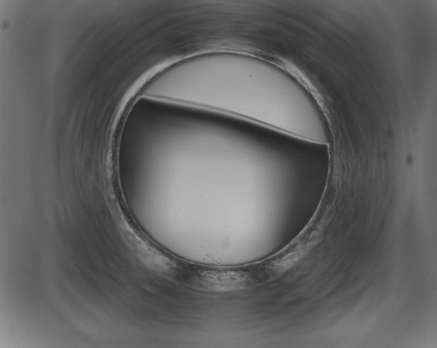 X0000087671331200705040716
