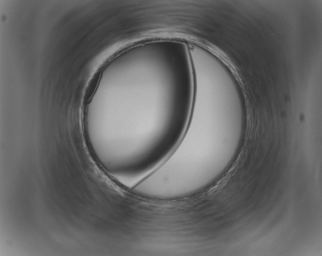 X0000087671334200705040716