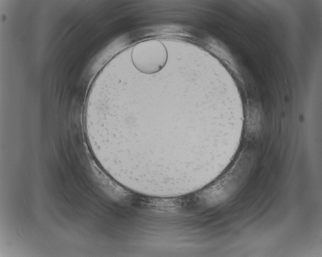 X0000087671338200705040716