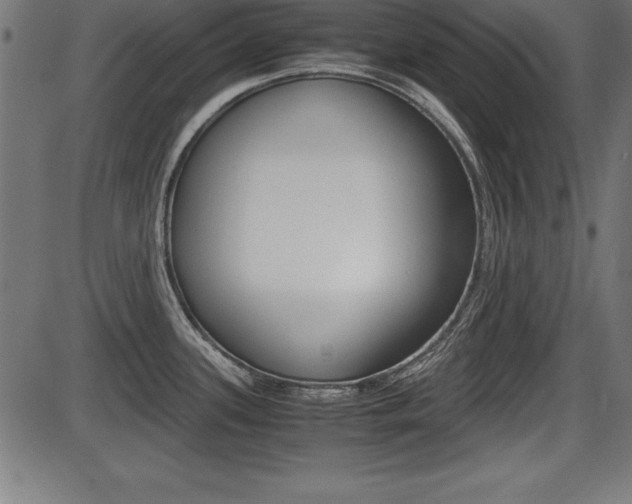 X0000087671339200705040716