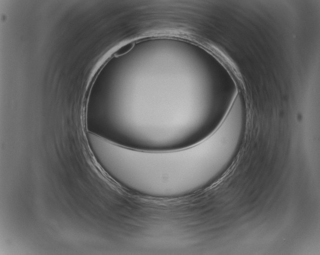 X0000087671340200705040716