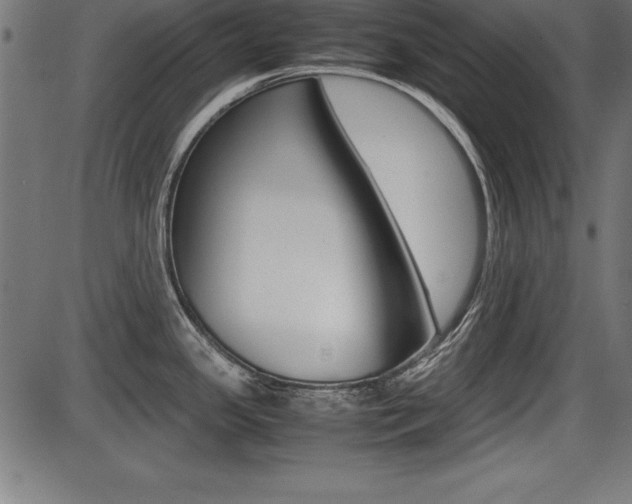 X0000087671341200705040716