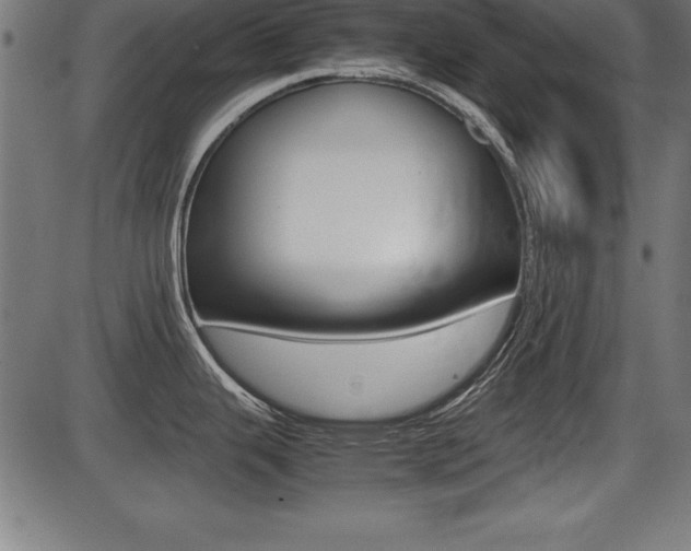 X0000087671343200705040716