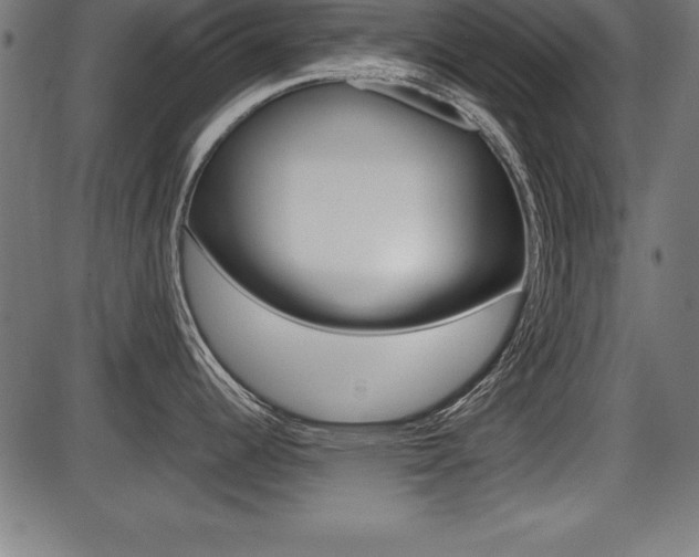 X0000087671344200705040716