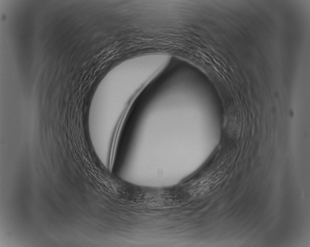 X0000087671345200705040715