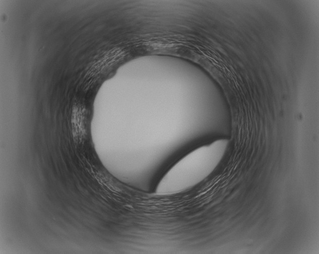 X0000087671346200705040715
