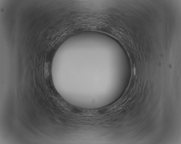 X0000087671347200705040715