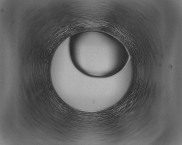 X0000087671348200705040715