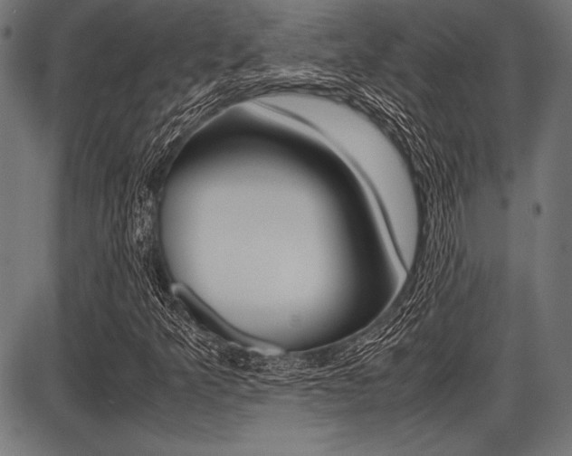 X0000087671349200705040715