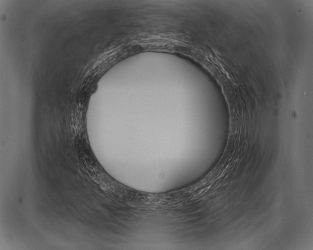 X0000087671350200705040715