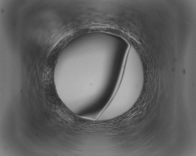 X0000087671351200705040715