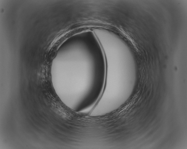 X0000087671352200705040715