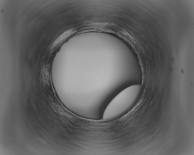 X0000087671354200705040715