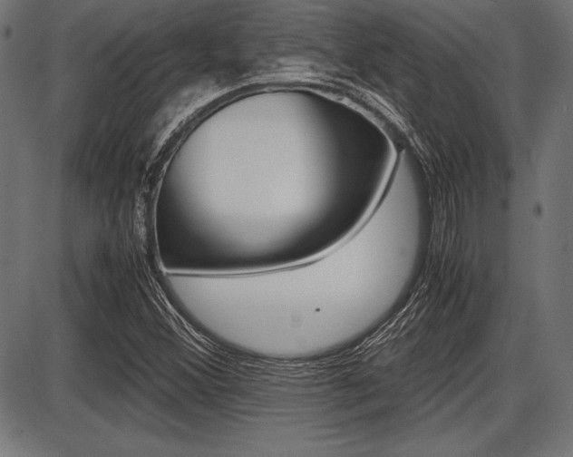 X0000087671356200705040715