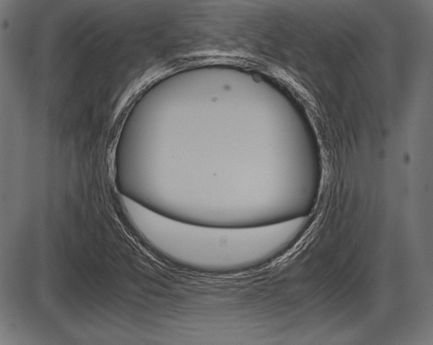 X0000087671357200705040715