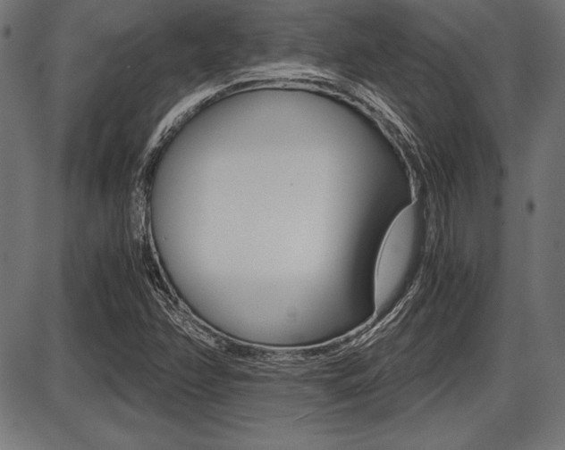 X0000087671358200705040715