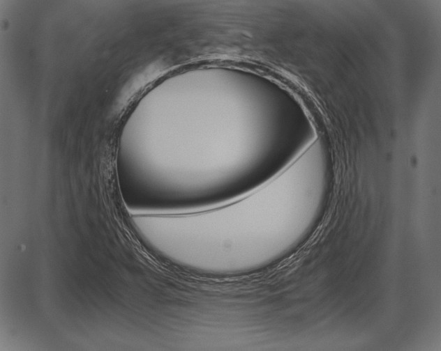 X0000087671359200705040715