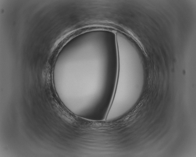 X0000087671360200705040715