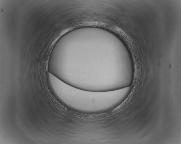 X0000087671361200705040715