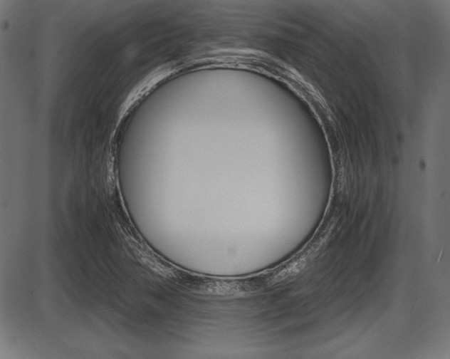 X0000087671362200705040715