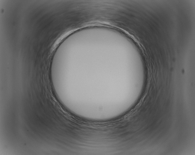 X0000087671363200705040715