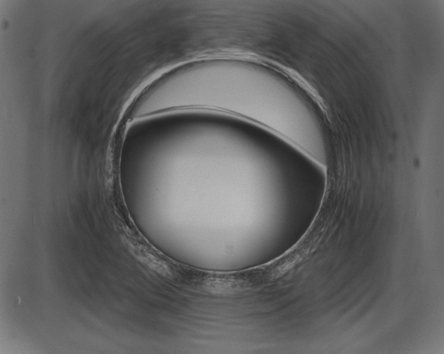 X0000087671364200705040715