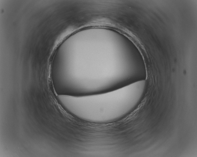 X0000087671366200705040715