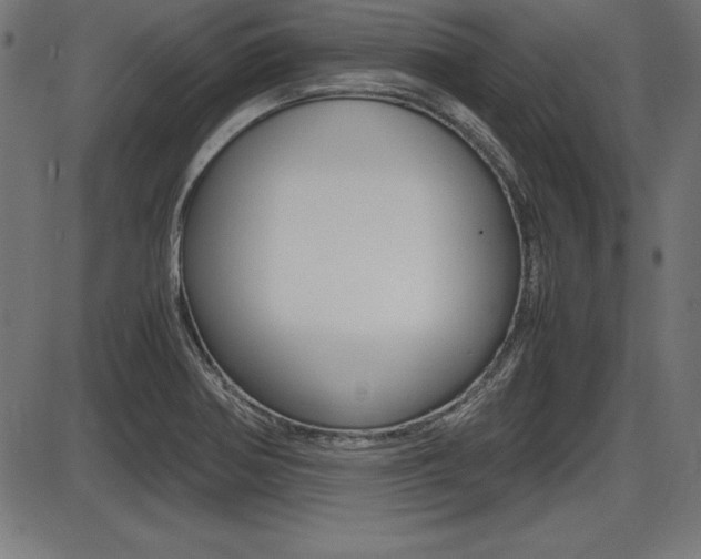 X0000087671370200705040715