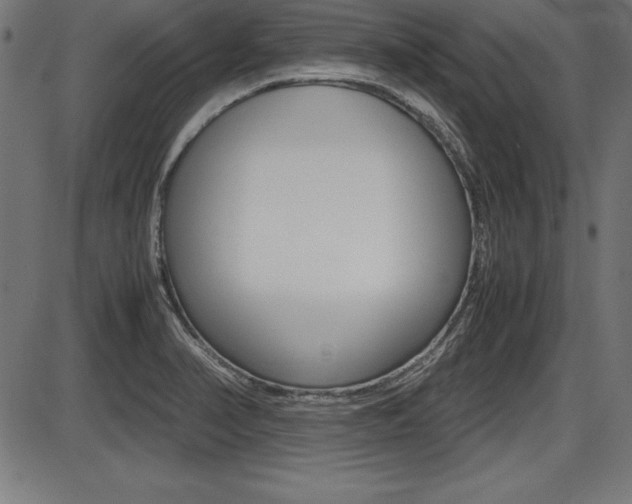 X0000087671374200705040715