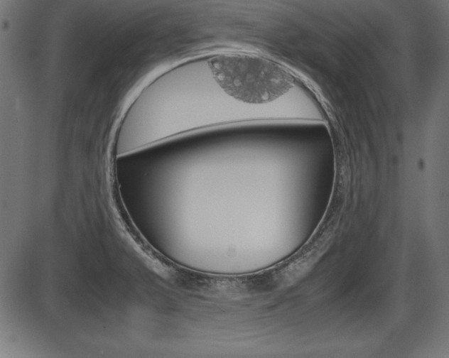 X0000087671375200705040715
