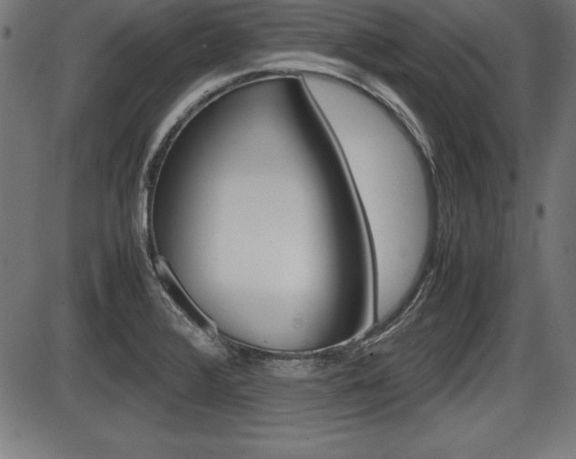 X0000087671376200705040714