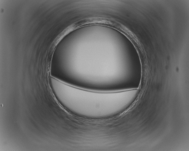 X0000087671377200705040714