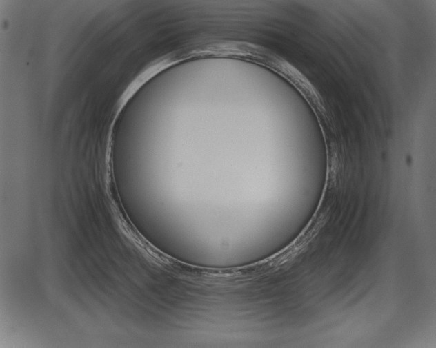 X0000087671378200705040714