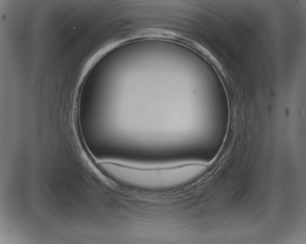 X0000087671379200705040714