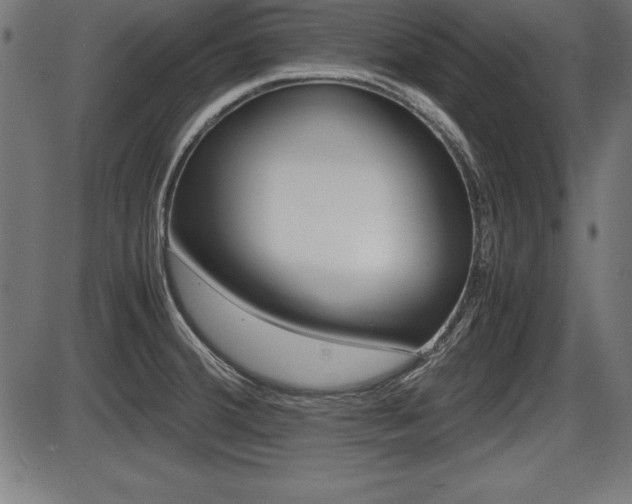 X0000087671380200705040714