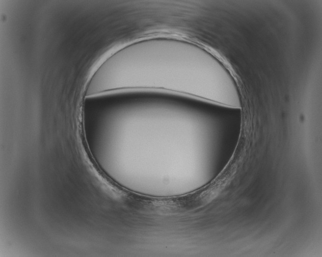 X0000087671383200705040714