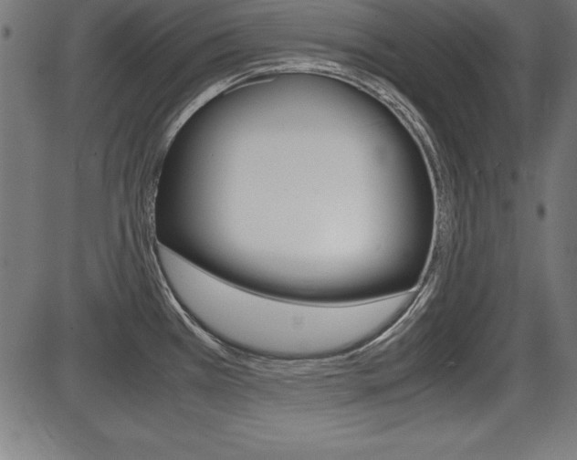 X0000087671385200705040714