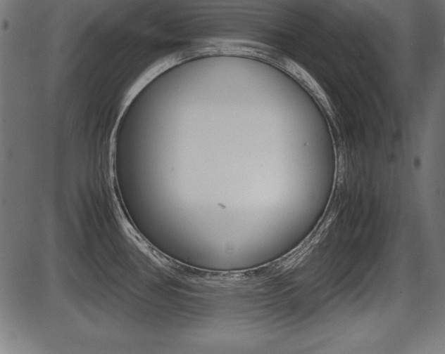X0000087671386200705040714