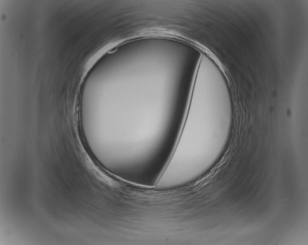 X0000087671387200705040714