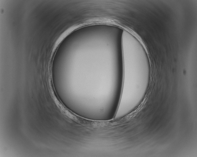 X0000087671389200705040714