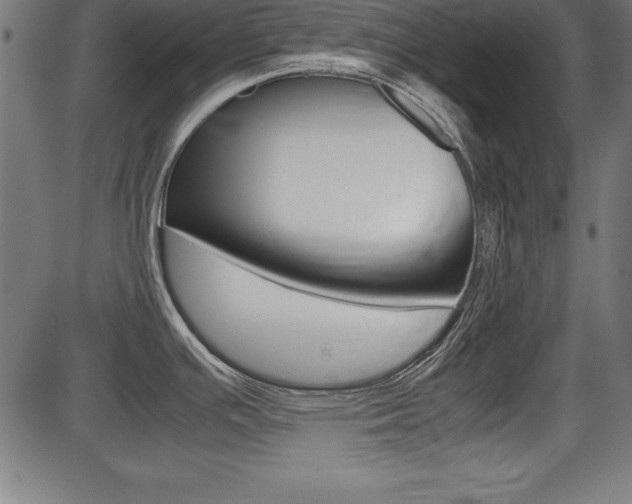 X0000087671391200705040714