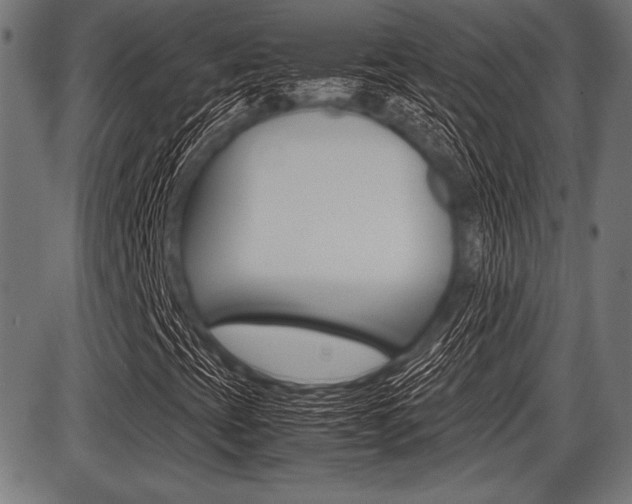 X0000087671393200705040713