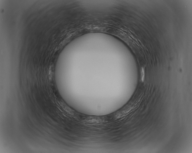 X0000087671395200705040713